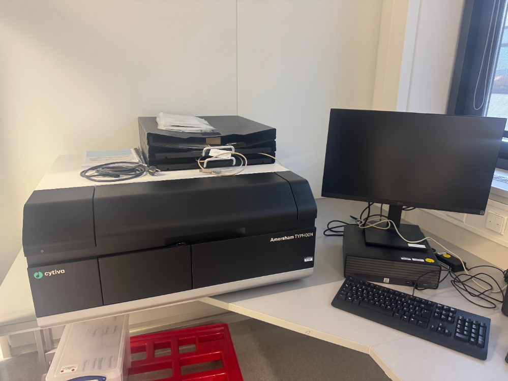 Image of Cytiva Amersham Typhoon Fluorescent Image Analyzer